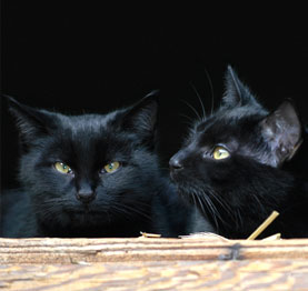 Design und Fotografie