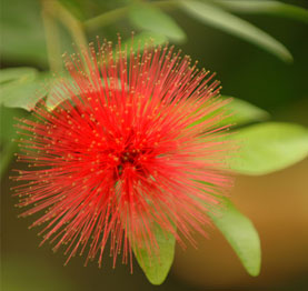 Design und Fotografie Bereich Folienverpackungen Gartenbereich
