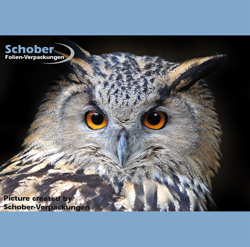 Spezialverpackung mit Eurolochung